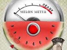 Melon Meter